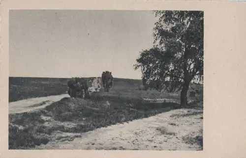 Weg auf sanften Hügel - ca. 1955