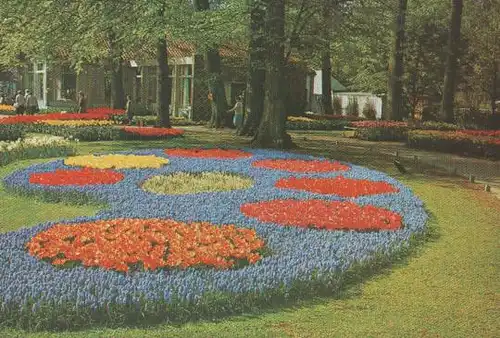 Niederlande - Niederlande - Keukenhof - Lisse-Holland - ca. 1975