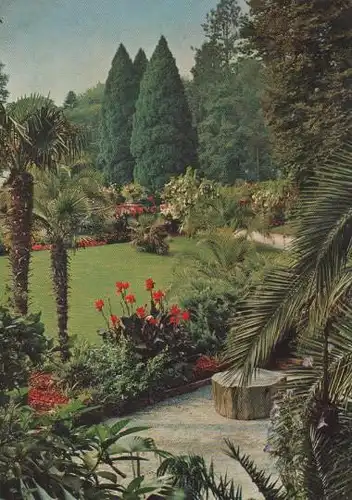 Mainau - Park vom Palmenhain - 1962