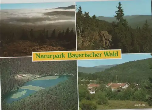 Bayerischer Wald - 4 Bilder