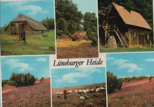 Lüneburger Heide - 6 Bilder