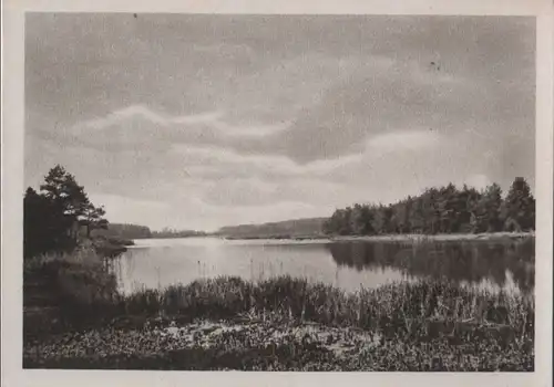 See mit waldigem Ufer - ca. 1955