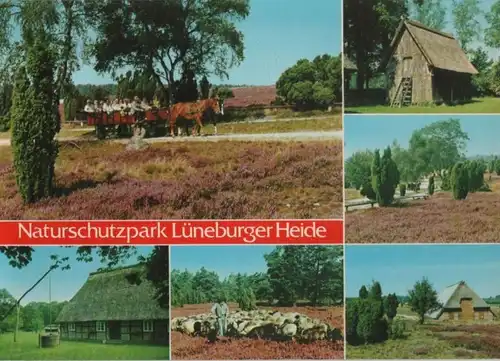 Lüneburger Heide - 6 Teilbilder - 1982