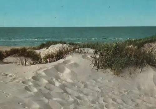 Dünen am Meer - 1969