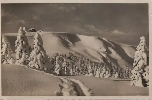 Feldberg / Schwarzwald - Feldbergturm, Zastlerhalde - ca. 1955