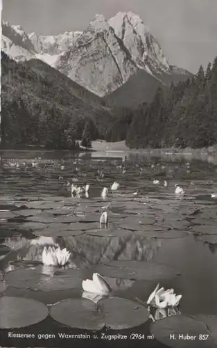 Garmisch-Partenkirchen - Riessersee gegen Zugspitze - ca. 1955