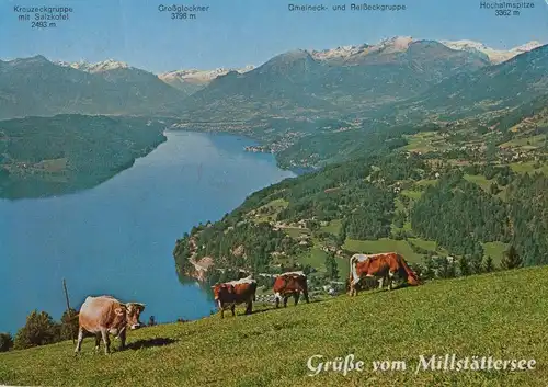Österreich - Millstätter See - Österreich - vom Gschriet