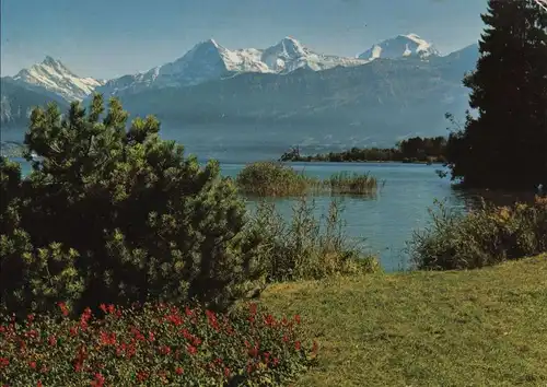 Schweiz - Thun - Schweiz - Gwatt mit Eiger