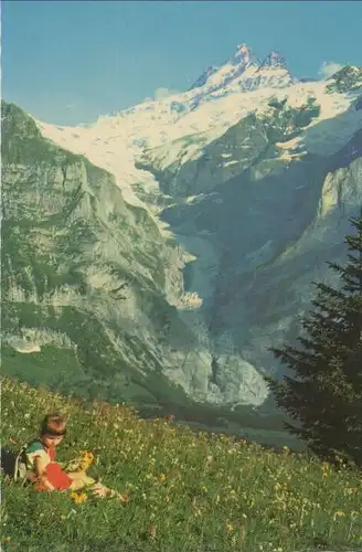 Schweiz - Grindelwald - Schweiz - First - Schreckhörner