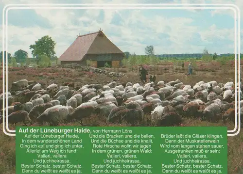 Lüneburger Heide - mit Text von Hermann Löns - ca. 1995