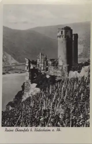 Rüdesheim - Ruine ehrenfels