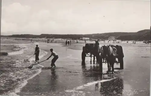 Niederlande - Niederlande - Den Haag, Scheveningen - Schelpenvissers - ca. 1960