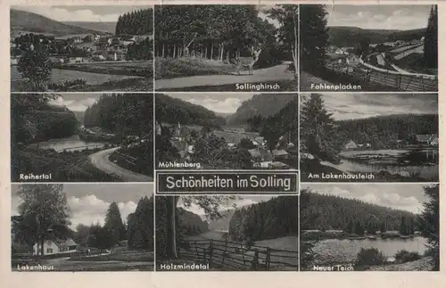 Solling - u.a. Sollinghirsch - ca. 1955