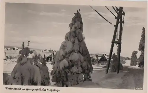 Georgenfeldinterpracht - ca. 1960