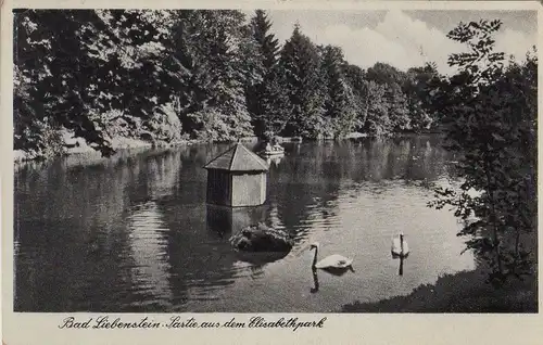 Bad Liebenstein - Partie aus dem Elisabethpark - ca. 1950