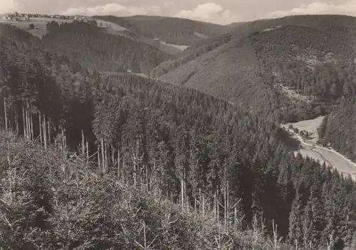 Frauenwald - Blick v. Silberblick - 1974