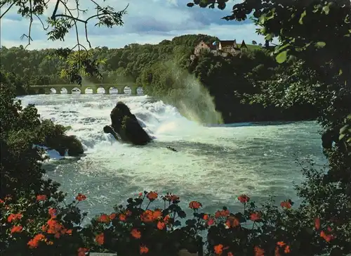 Schweiz - Schaffhausen - Schweiz - Rheinfall