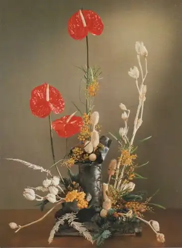 Anthurien Arrangement