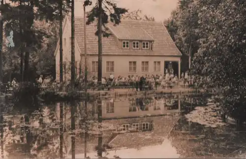 Schmiedefeld - Im Naturpark - ca. 1965