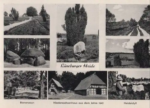 Lüneburger Heide - 8 Bilder