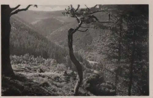 Tabarz - Blick vom Fuchsstein