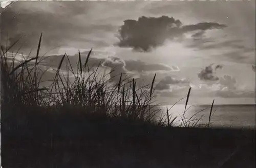 Föhr - Sonnenuntergang