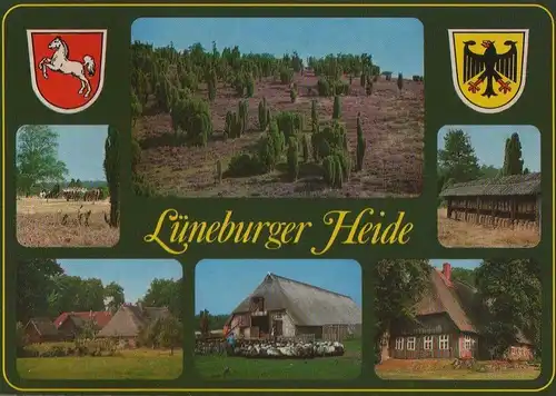Lüneburger Heide - mit 6 Bildern - ca. 1985