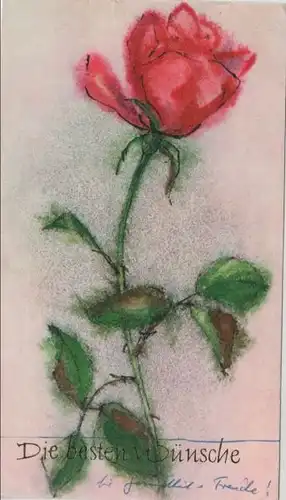 Die besten Wünsche Rose