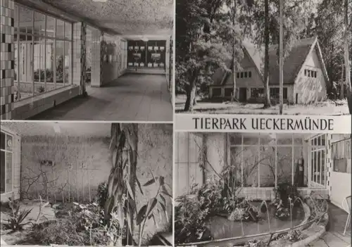 Ueckermünde - Tierpark, Vivarium - 1982