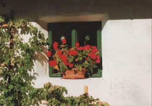 Österreich - Österreich - Tirol - Blumenfenster - 1994