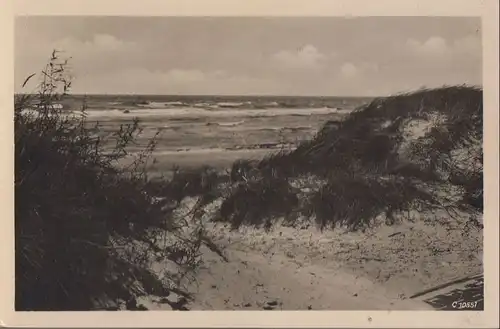 Dünen am Meer - ca. 1955