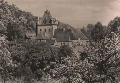 Liebstadt - Schloß Kuckuckstein - 1966