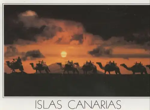 Spanien - Timanfaya-Nationalpark - Spanien - kamele