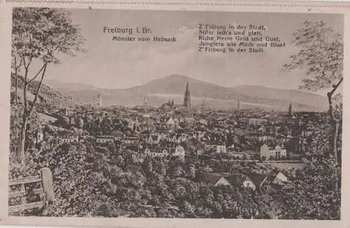 Freiburg - Münster vom Hebsack - ca. 1935