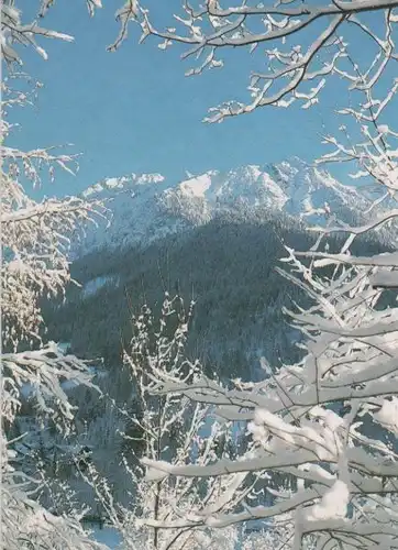 Winterlandschaft - 2000