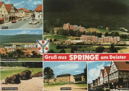 Springe - u.a. im Wisentgehege - 1980
