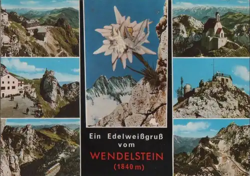 Wendelstein - mit Edelweiß - 1979