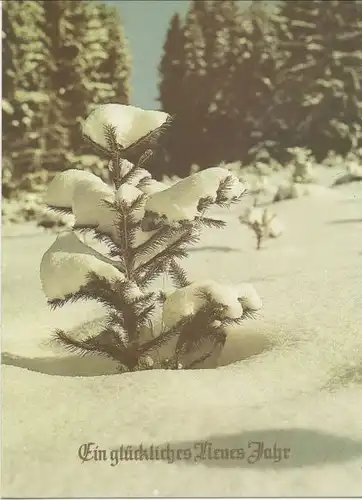 Glückliches Neues Jahr - Schneebild