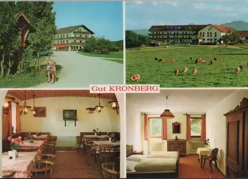 Kronberg - Gutspension, Reiterhof - 1978