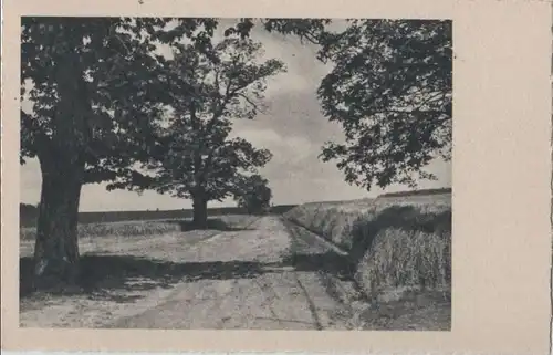 Weg zwischen Bäumen und Feldern - ca. 1955