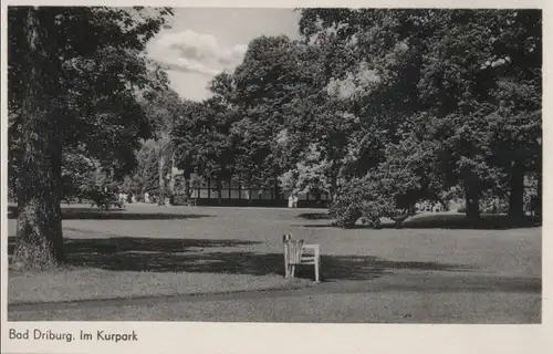 Bad Driburg - Im Kurpark - ca. 1960