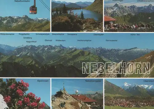 Nebelhorn - u.a. Urbeleskarspitze - 1999
