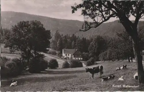 Großschönau-Waltersdorf - 1961