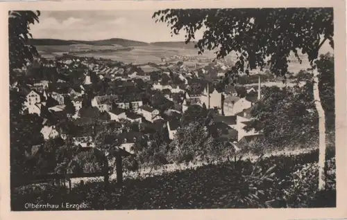 Olbernhau - Panorama