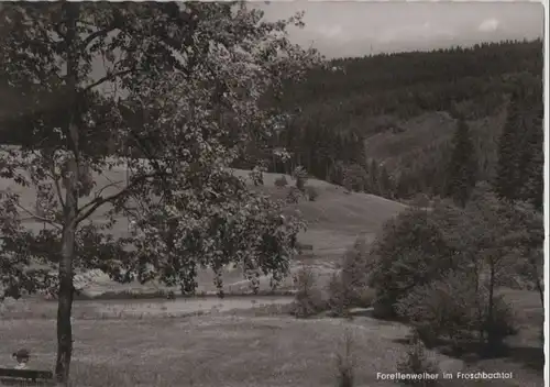 Bad Steben-Bobengrün - Gasthaus Rübezahl - ca. 1970