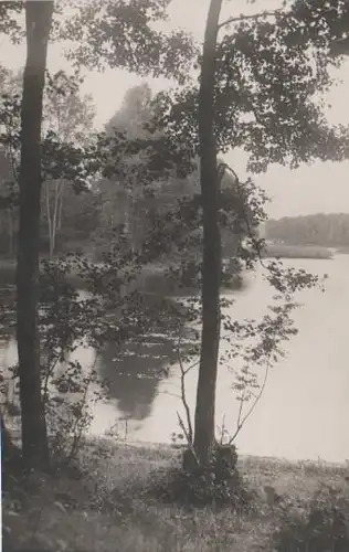 Bäume am See - ca. 1935