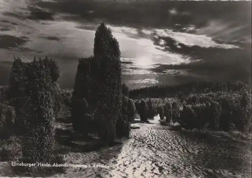 Lüneburger Heide - Abendstimmung - ca. 1965