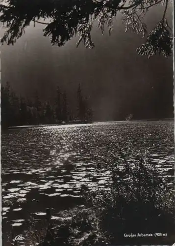 Bayerischer Wald - Großer Arbersee - ca. 1960