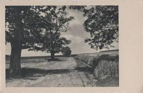 Feldweg im Sommer - ca. 1955