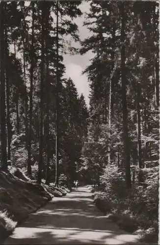 Freudenstadt - Teuchelweg - ca. 1960